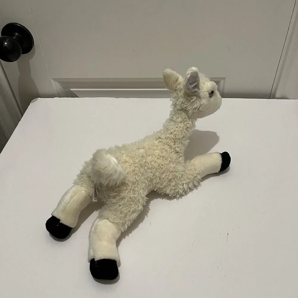 Aurora Flopsie LLAMA  10